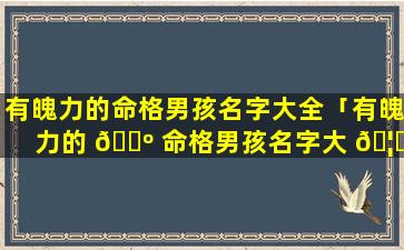 有魄力的命格男孩名字大全「有魄力的 🌺 命格男孩名字大 🦁 全四个字」